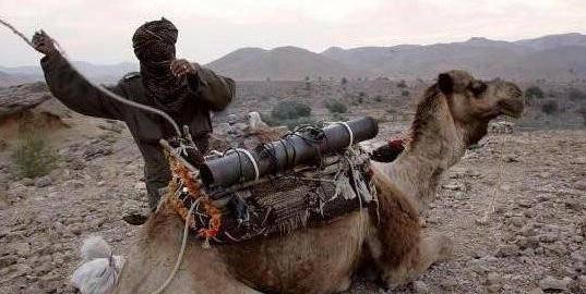 中華軍事精選，深度解讀中國軍事力量與戰(zhàn)略發(fā)展，深度解讀中國軍事力量與戰(zhàn)略發(fā)展，中華軍事精選