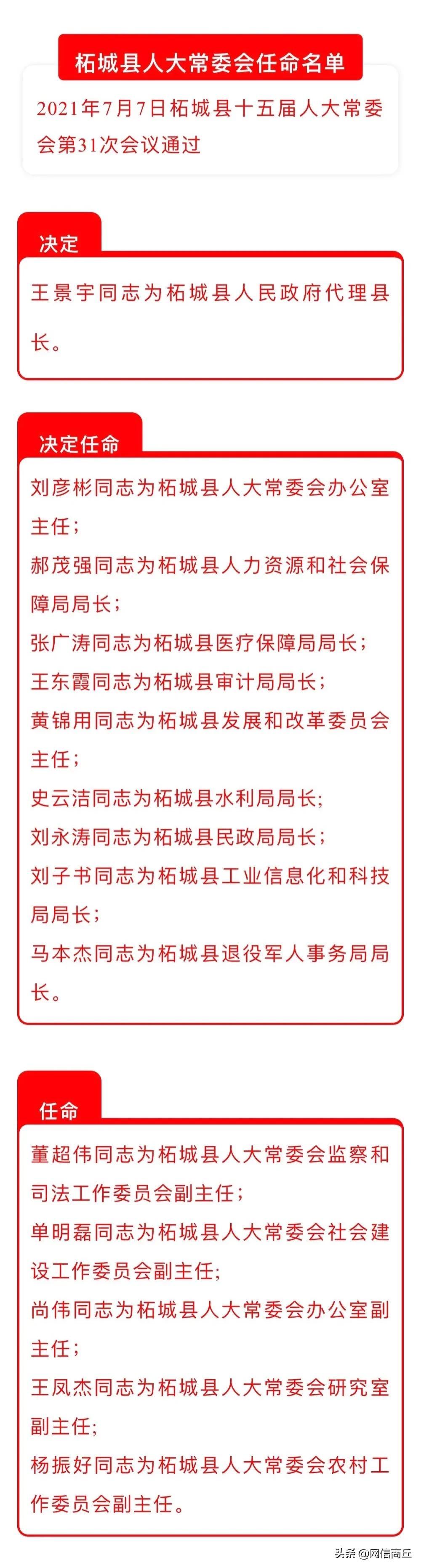 王中王精選一肖一，揭秘背后的秘密與策略，王中王精選一肖一背后的秘密與策略揭秘