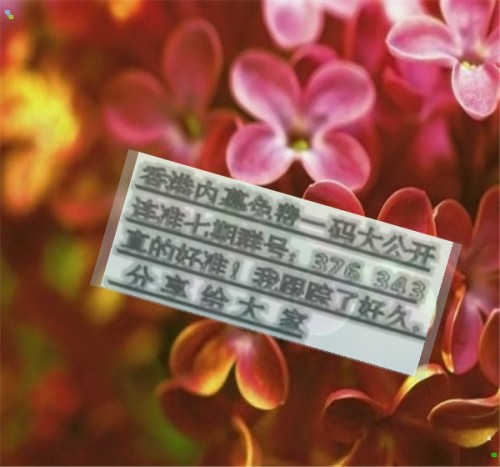 揭秘王中王六肖必中一肖的秘密策略與技巧，揭秘王中王六肖必中一肖的獨(dú)家策略與技巧揭秘。