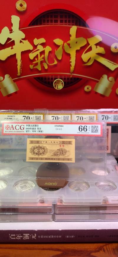 王中王全年殺一肖，解析背后的神秘力量與預(yù)測(cè)趨勢(shì)