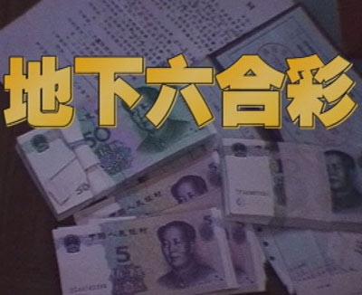 揭秘王中王一碼一肖期期準的奧秘，揭秘王中王預(yù)測一碼一肖期期準的神秘面紗