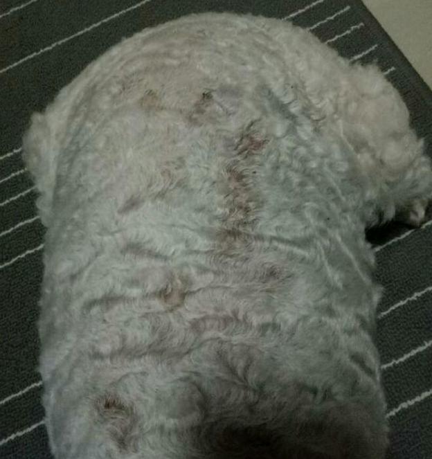 尋找最擅長(zhǎng)治療皮膚病的醫(yī)院，名醫(yī)薈萃，專業(yè)之選，尋找專業(yè)治療皮膚病醫(yī)院，名醫(yī)薈萃，專業(yè)之選