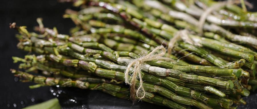 鐵皮石斛，揭示其十大功效與作用，鐵皮石斛，十大功效與作用揭秘