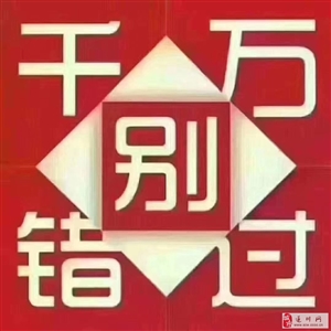 王中王132期指一生肖——深度解析與SEO優(yōu)化，王中王132期生肖深度解析與SEO優(yōu)化策略探討
