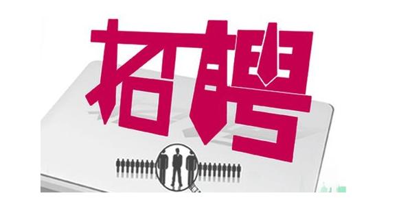 王中王253期指一生肖——深度解讀與SEO優(yōu)化，王中王253期生肖解讀與SEO優(yōu)化策略探討