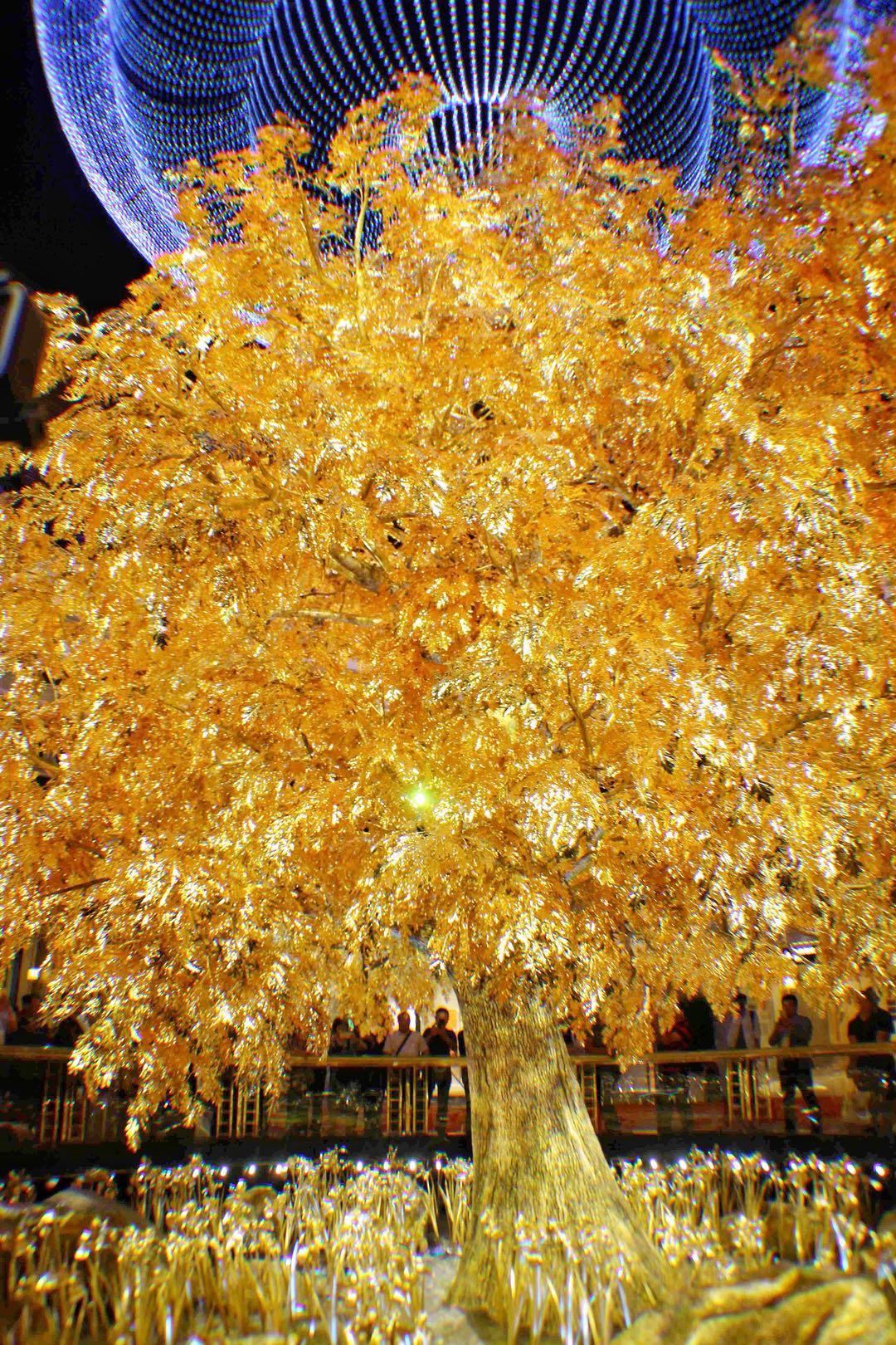 2025新澳門(mén)十二生肖開(kāi)