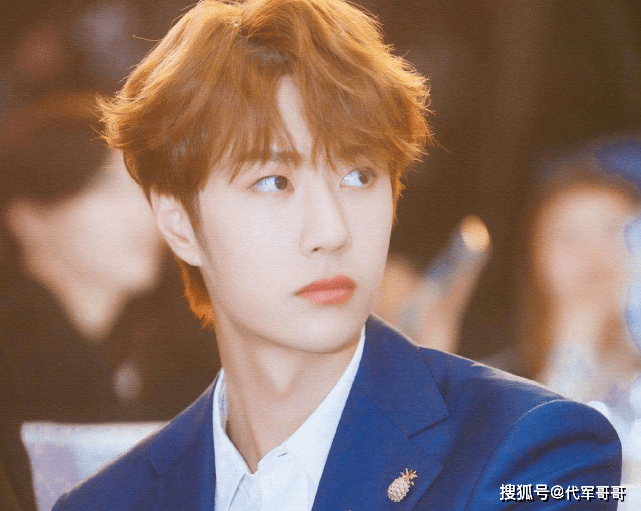 圖片詳解及解析