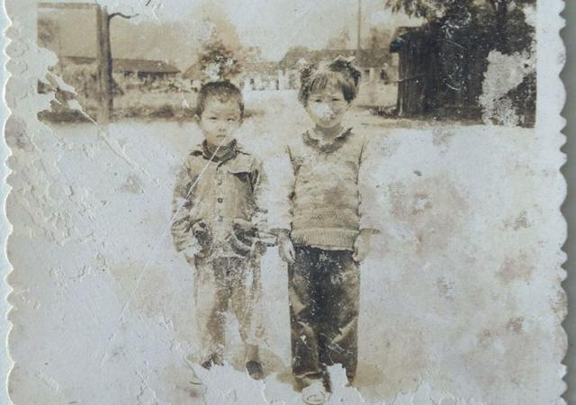 劉伯溫平特一肖與世外桃源的不解之緣，劉伯溫平特一肖與世外桃源的神秘之緣