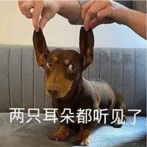 王中王四不象一肖圖必中——揭秘彩票背后的秘密，揭秘彩票秘密，王中王四不象一肖圖必中真相解析