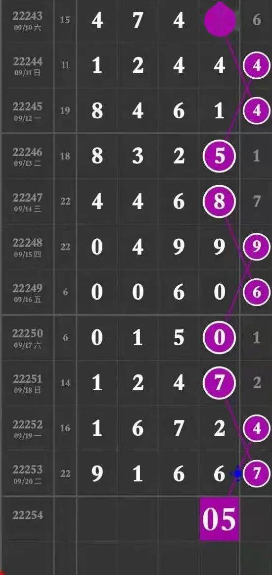 揭秘?cái)?shù)字背后的傳奇人物，王中王與肖香的故事，揭秘傳奇人物王中王與肖香的數(shù)字背后的故事