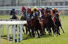 賽馬澳門六月開獎(jiǎng)結(jié)果，解析與探討，澳門六月賽馬開獎(jiǎng)結(jié)果解析與探討