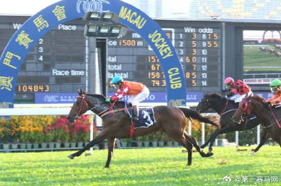 澳門今晚必開一肖一馬，探索生肖與馬術文化中的奧秘，澳門生肖馬術文化探索，今晚必開一肖一馬的奧秘