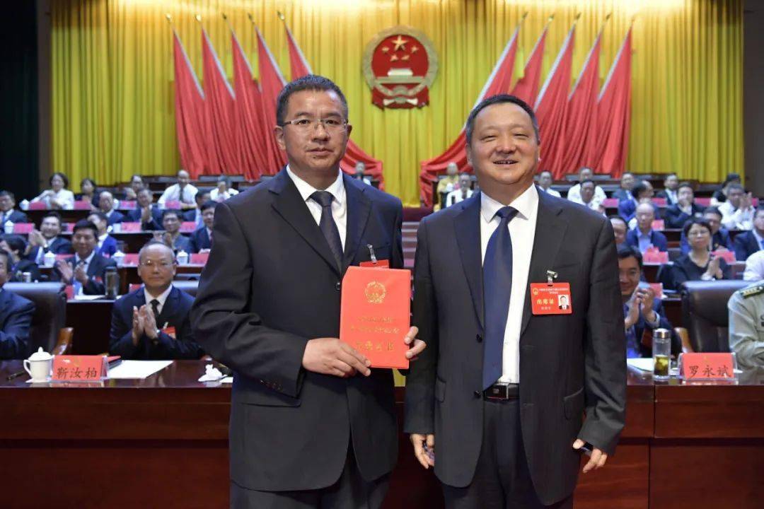 二四六香港資料期期中，深度解析與探索，二四六香港資料期期中深度剖析與探索