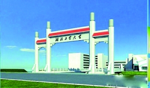 新奧門(mén)正版平特一肖圖，探索與解析，新奧門(mén)正版平特一肖圖深度解析與探索