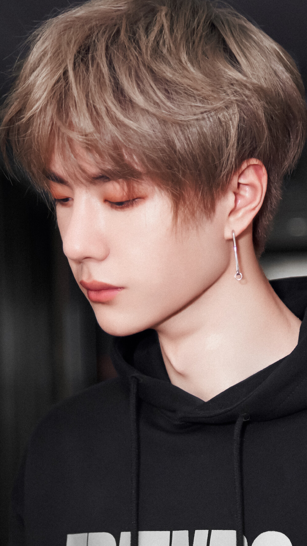 王中王一肖資料一肖特，深度解析與探索，王中王一肖資料深度解析與探索