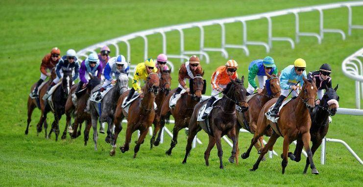 2025年澳門馬會傳真正版下載指南，澳門馬會傳真正版下載指南（2025版）