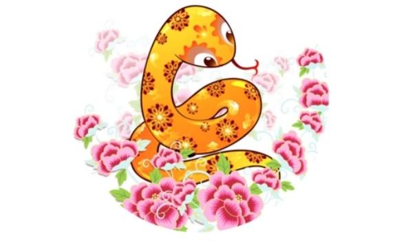 揭秘生肖奧秘，精準(zhǔn)解析生肖運(yùn)勢，免費(fèi)分享7777788888背后的秘密，揭秘生肖奧秘與運(yùn)勢解析，揭秘?cái)?shù)字背后的秘密