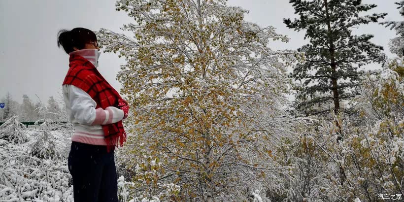 揭秘劉伯溫必中一肖的秘密，探尋香港生肖預(yù)測的真諦，劉伯溫必中生肖預(yù)測之謎，探尋香港生肖預(yù)測真諦