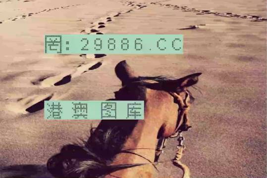 香港特馬資料王中王下載，深度探索與指南，香港特馬資料王中王，深度探索與下載指南