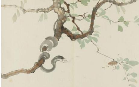 一肖有哪些生肖——生肖文化深度解析，生肖文化深度解析，揭秘十二生肖中的一肖奧秘