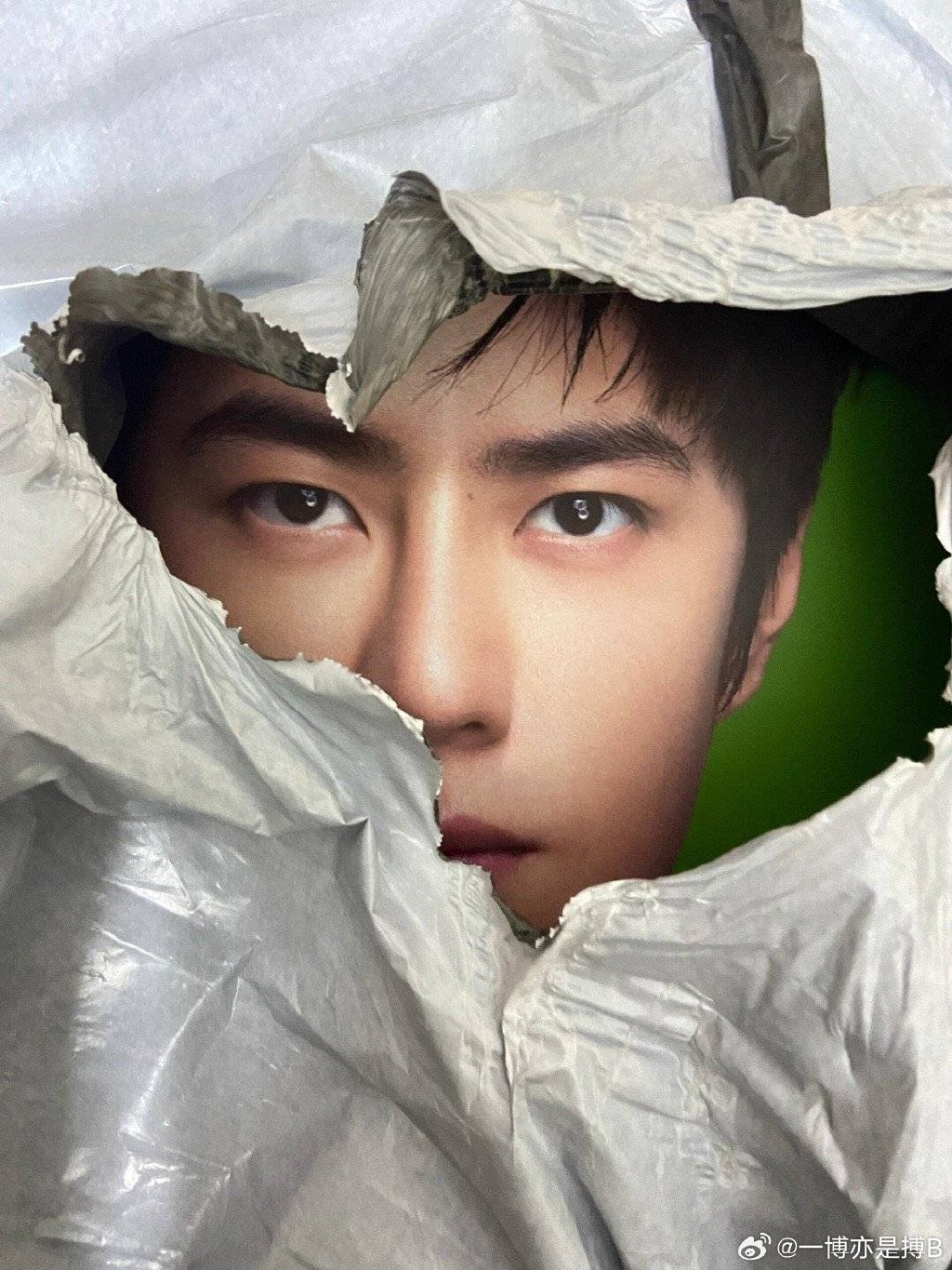 自姐王中王一肖中特，探索關(guān)鍵詞背后的故事與奧秘，關(guān)鍵詞背后的故事與奧秘，自姐王中王一肖中特探索之旅