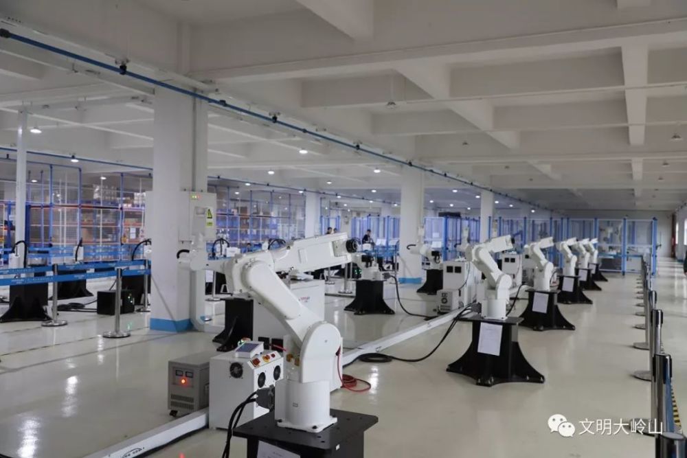 揭秘生肖之謎，十拿九穩(wěn)王中王，哪一生肖獨領(lǐng)風(fēng)騷？，揭秘生肖之謎，揭秘哪一屬相獨領(lǐng)風(fēng)騷，十拿九穩(wěn)的王中之王！