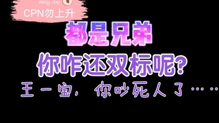 一肖啥意思——深度解析中國生肖文化中的肖之含義，深度解析中國生肖文化，揭秘一肖之含義