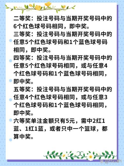 揭秘買二肖中的賠付比例與策略分析，揭秘買二肖中的賠付比例與策略深度解析