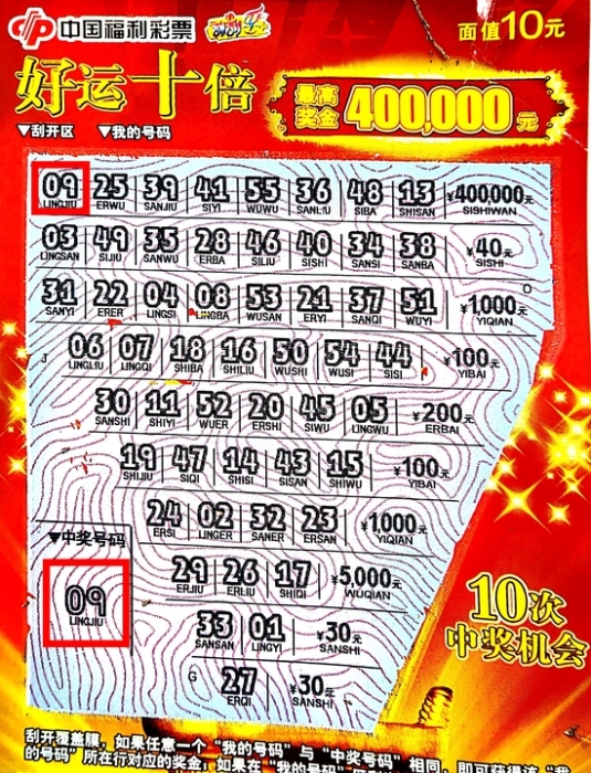 平特一肖買100中多少？揭秘彩票背后的秘密，揭秘彩票背后的秘密，平特一肖買100中獎概率解析