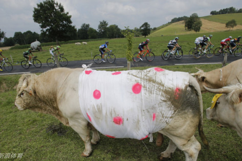 今晚王中王四不像一肖圖，揭秘彩票背后的秘密，揭秘彩票背后的秘密，王中王四不像一肖圖解析