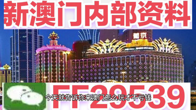 新澳2025今晚開獎資料詳解，新澳2025今晚開獎資料全面解析