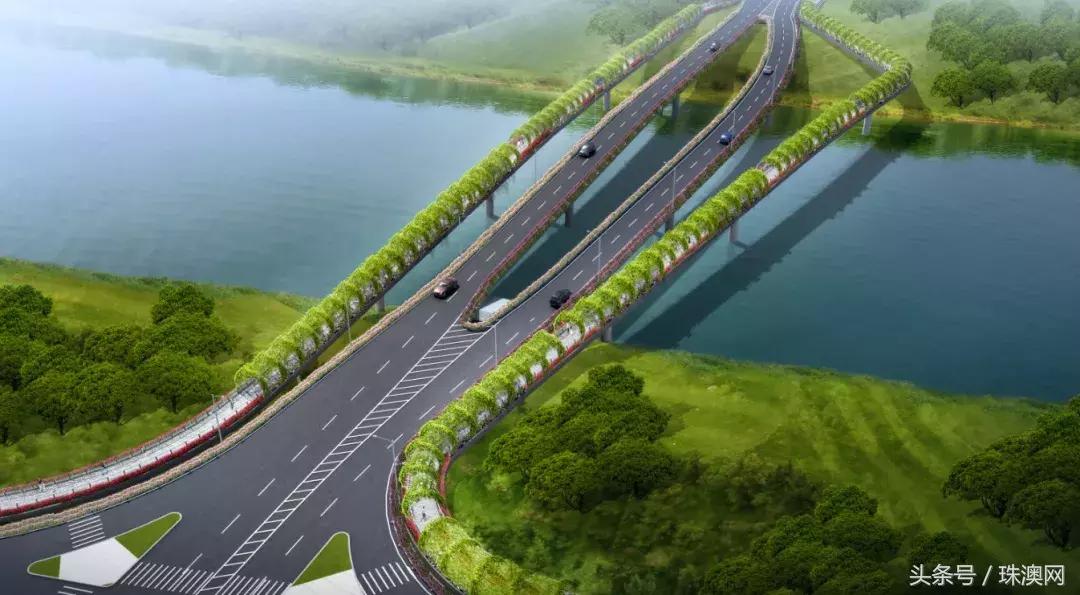 揭秘6肖期期中特期期期準的秘密，揭秘生肖彩票期期中特期期期準的秘密真相