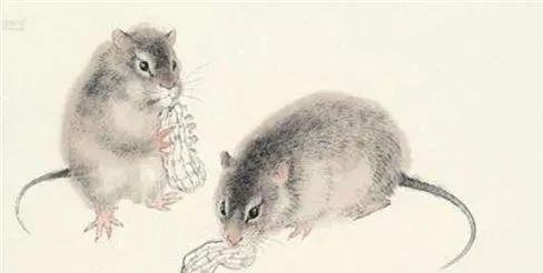 劉伯溫屬什么的打一生肖——揭秘古代傳奇人物劉伯溫的生肖屬性，揭秘傳奇人物劉伯溫的生肖屬性，劉伯溫屬相是什么？打一生肖揭曉答案。