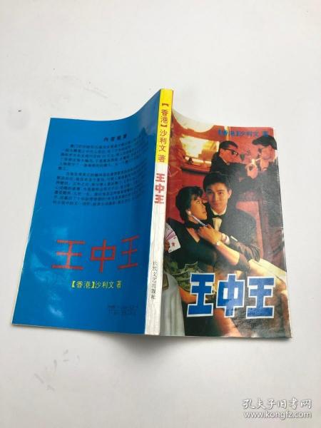 王中王資料一肖中情，深度解析背后的故事與奧秘，揭秘王中王資料背后的故事與奧秘