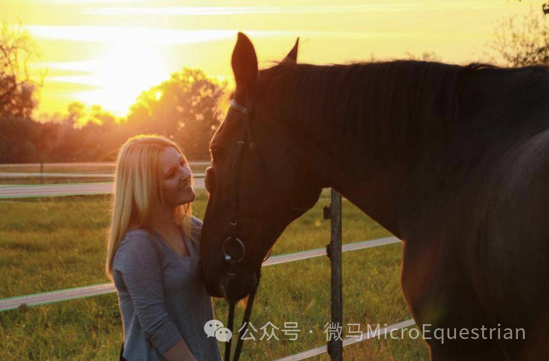 探索神秘，精準馬會傳真圖與7777788888的獨特魅力，揭秘神秘，馬會傳真圖與特殊號碼7777788888的魅力探索