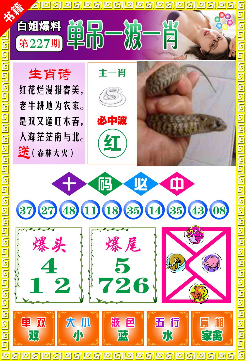 王中王開獎(jiǎng)一肖，揭秘彩票背后的秘密，揭秘彩票背后的秘密，王中王開獎(jiǎng)一肖探秘