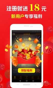 王中王與肖中，探尋背后的故事與SEO奧秘，王中王與肖中的故事與SEO奧秘探尋之路