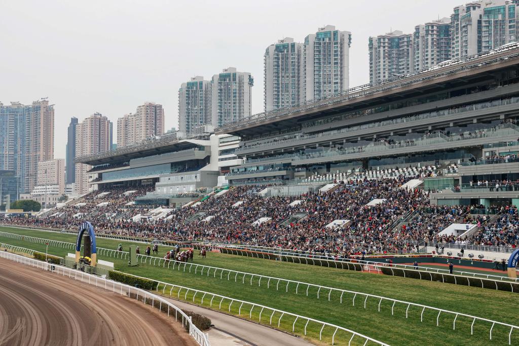 香港今晚特馬開彩，探索背后的秘密與未來展望，香港特馬開彩背后的秘密與未來展望
