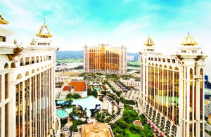 澳門(mén)三期內(nèi)期必開(kāi)一肖，揭秘生肖彩票的奧秘與策略，揭秘生肖彩票奧秘，澳門(mén)三期必開(kāi)一肖策略揭秘