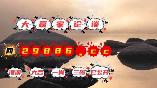 王中王肖一碼資料，揭秘背后的秘密與深度解析，揭秘王中王肖一碼資料，背后的秘密與深度解析