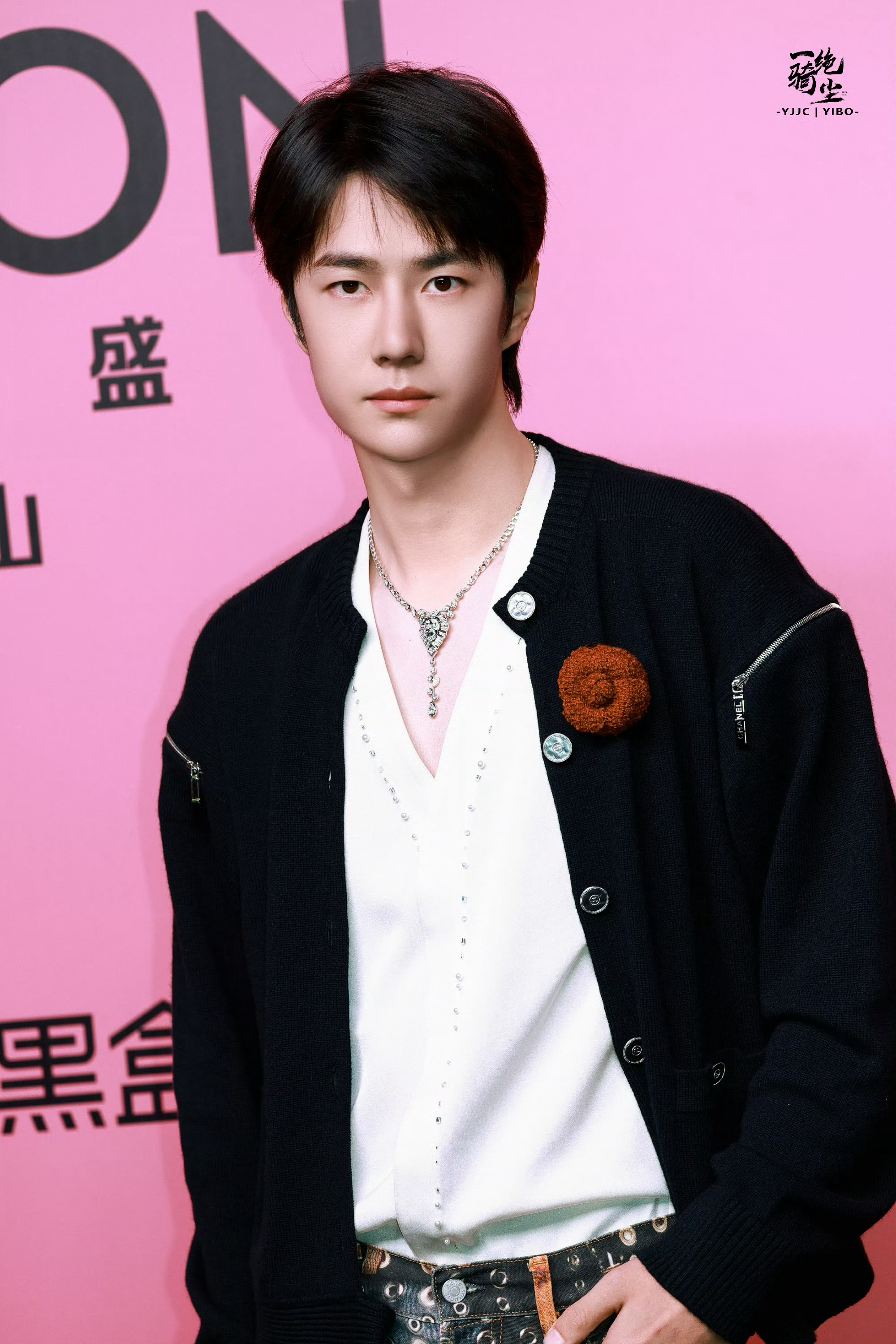 資料王中王一肖中，深度解析與探索，深度解析與探索，王中王一肖的獨(dú)特魅力