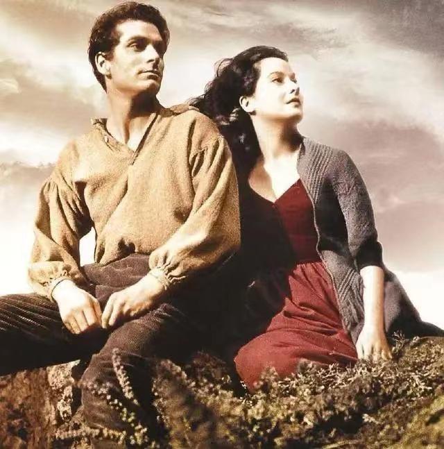 管家肖的生肖動(dòng)物，探索與解析，管家肖生肖動(dòng)物，深度探索與解析