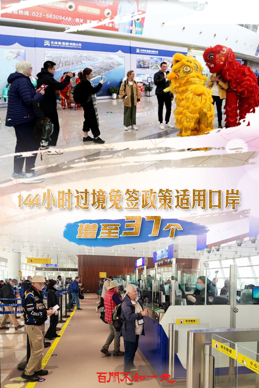 王中王一肖，揭秘碼一特一中的奧秘，揭秘王中王一肖特一中奧秘的真相