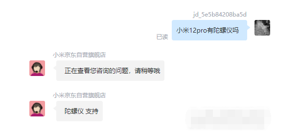 王中王一肖，揭秘背后的神秘碼，揭秘王中王一肖背后的神秘密碼