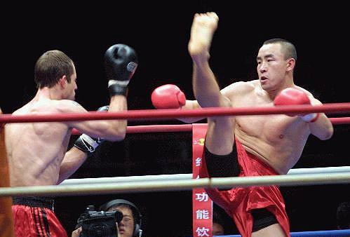 王中王欲錢(qián)猜一肖，揭秘生肖預(yù)測(cè)的神秘面紗與SEO策略探討，揭秘生肖預(yù)測(cè)神秘面紗與SEO策略探討，王中王欲錢(qián)猜一肖解析