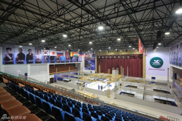 王中王一肖一馬，揭秘免費(fèi)中特之秘，揭秘王中王一肖一馬，免費(fèi)中特背后的秘密