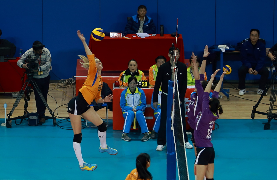 王中王三肖選一，揭秘背后的故事與SEO優(yōu)化策略，王中王三肖選一背后的故事與SEO優(yōu)化策略揭秘