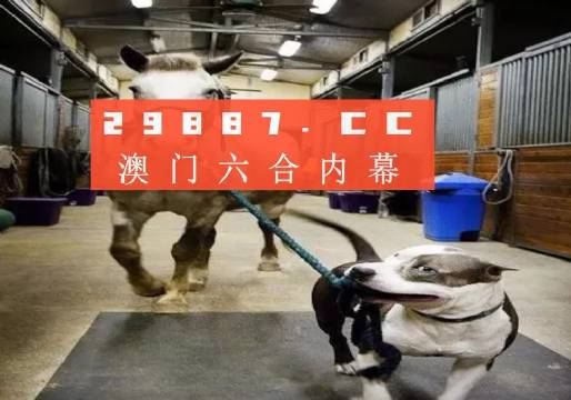 澳門一肖一碼一必中一肖，同舟前進的預測之旅，澳門一肖一碼預測之旅，同舟前進的必中之選