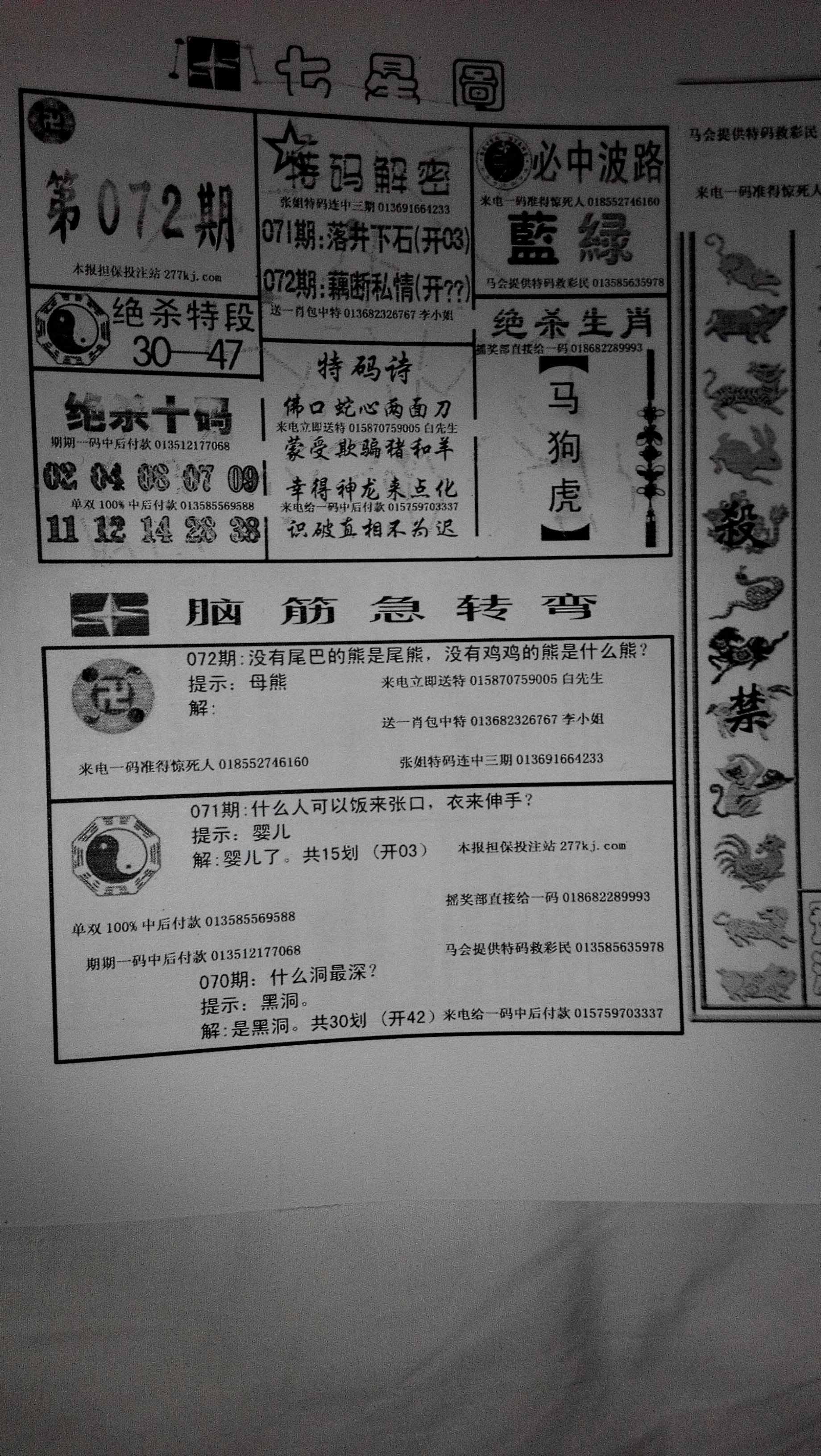 王中王288期指一生肖——深度解析與預測，王中王288期生肖深度解析與預測，揭秘生肖運勢走向