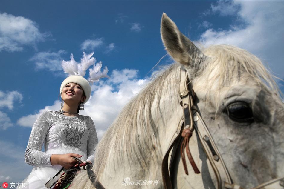 劉伯溫的兩肖一特，探尋神秘預(yù)言背后的故事，劉伯溫神秘預(yù)言揭秘，兩肖一特的背后故事